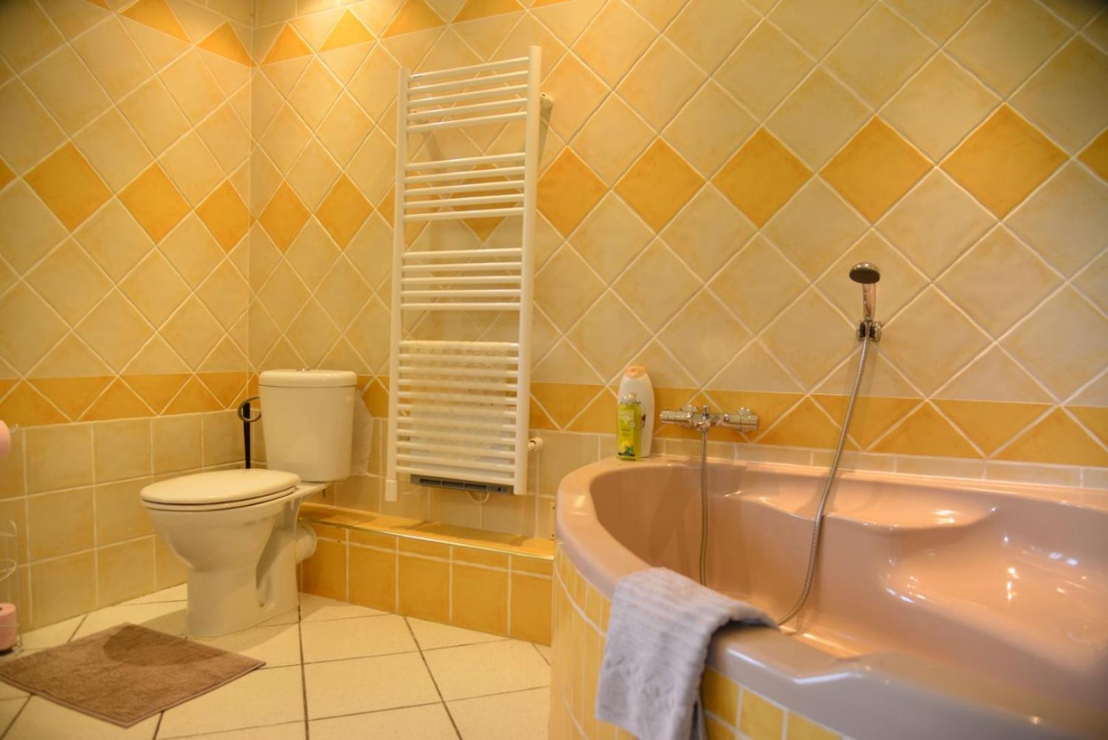Bed and Breakfast Au Grand Bonheur Besseges Pokoj fotografie